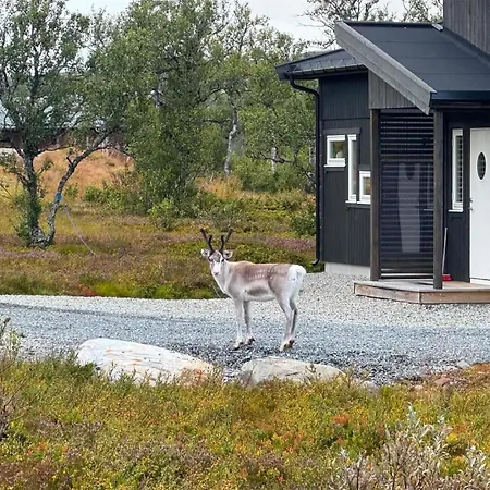 Gezellig In ålen Met Wifi Vakantiehuis Alen